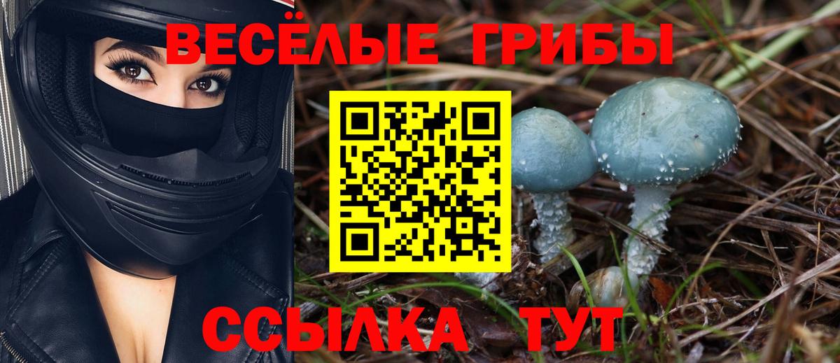 Псилоцибиновые грибы MAGIC MUSHROOMS Новоуральск