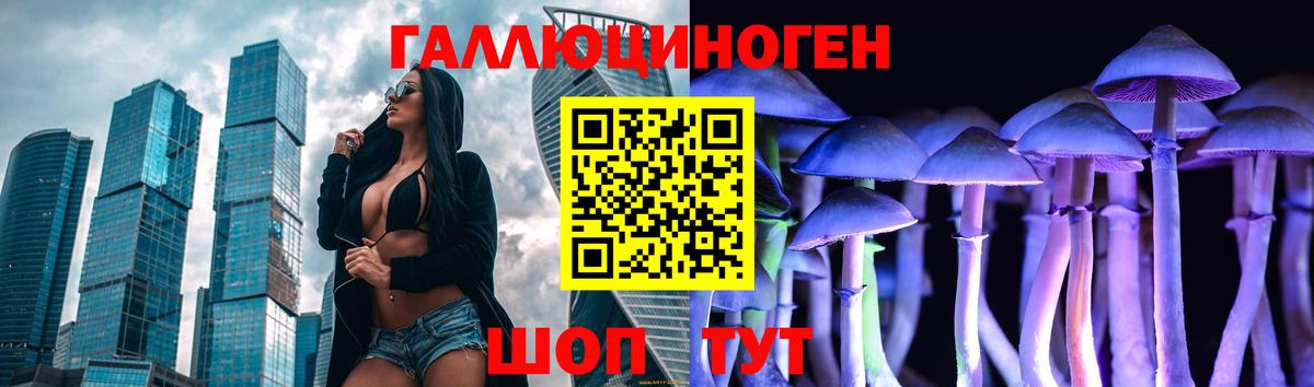 Галлюциногенные грибы Psilocybine cubensis  Вход с VPN  Псилоцибиновые грибы MAGIC MUSHROOMS  Новоуральск 